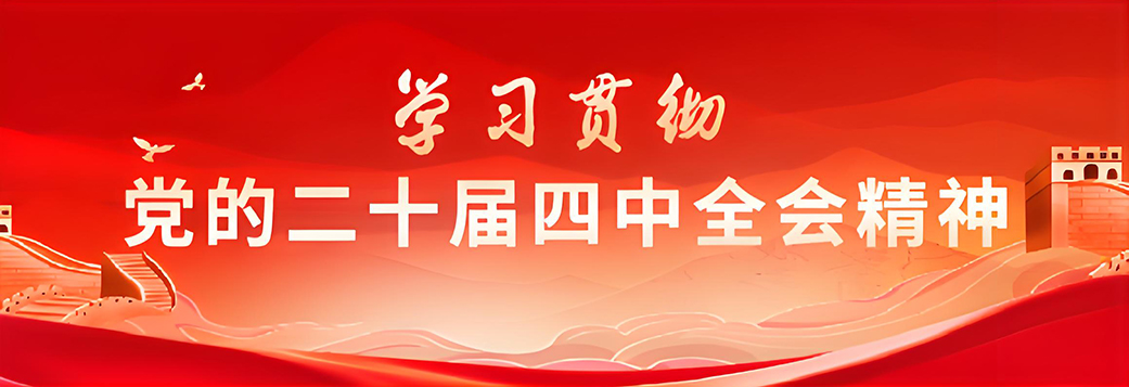 学习贯彻党的二十届四中全会精神