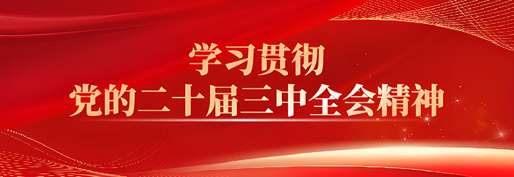 学习贯彻党的二十届三中全会精神
